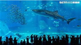 旅行前必做功課！先弄清自己是哪種咖（圖／燦星旅遊）