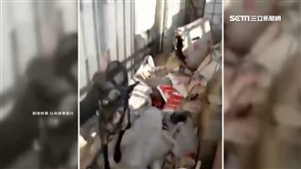 租霸再現！房客養狗臭又髒　房東崩潰