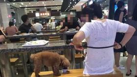 圖／翻攝自《半島日報》