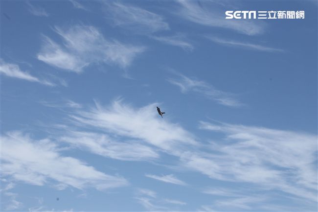 F16戰機彩繪單機特技操演。（記者邱榮吉/攝影）