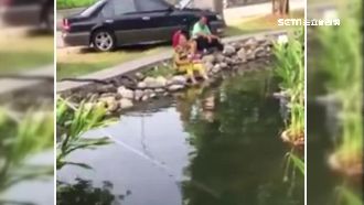 阿嬤亂撈生態池魚　只是要給孫子玩…