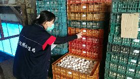 彰化蛋雞場驗出芬普尼