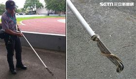 龜殼花,警察抓蛇