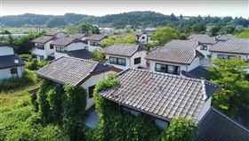 311東日本大地震杳無人跡的小鎮，慢慢地被綠色植物蓋過建築