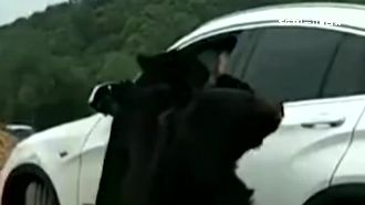 猛獸區硬開車窗　陸男手臂遭餓熊咬傷