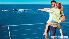 布里斯本必遊摩頓島  獨特體驗超震撼