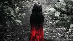 紅衣小女孩／翻攝自臉書