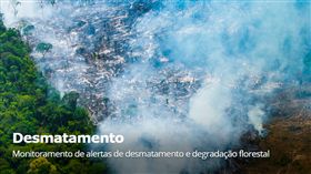 亞馬遜,森林,砍伐,火災,過度開發
圖／翻攝自Imazon官網