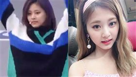 TWICE,周子瑜,／翻攝自official.twiceIG、TWICE官方IG