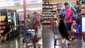 狼犬,大賣場,推車,毛孩,汪星人　圖／翻攝自推特