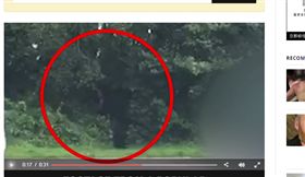 A片真實上演！男女停車場上演活春宮　16男圍觀掏槍自慰
圖/翻攝自Wales Online