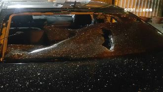 2男相約砸車尋仇　反被打成豬頭送醫