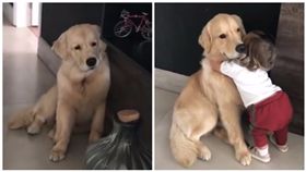 黃金獵犬,女娃,上學,開學,擁抱,道別,寵物/IG