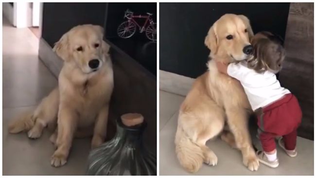 女娃上學擁抱皺眉愛犬「晚點就回來」