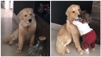 女娃上學擁抱皺眉愛犬「晚點就回來」