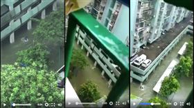 天鴿,颱風,澳門,淹水,游泳,救人(臉書 https://www.facebook.com/tomas.lo.1/posts/1855034134507058)