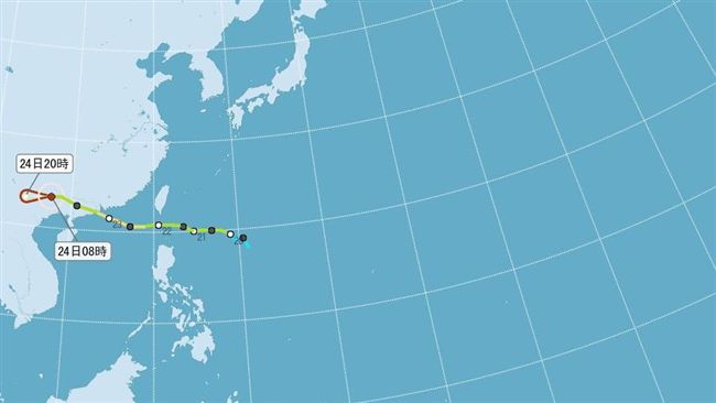 天鴿罕見「變身」　甩尾救了世大運