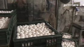 d毒雞蛋亂竄1200