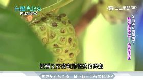 熱水燙傷娃1600