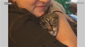 與寵物的自拍　在喵皇心中其實...