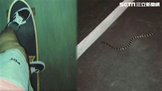 女網友玩滑板　邊滑邊拍驚見「牠」