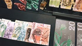 紅點設計獎,德國,最佳設計獎,樹德科大,新秀組,蕨類,鈔票,蕨對值　圖／翻攝自臉書蕨對值