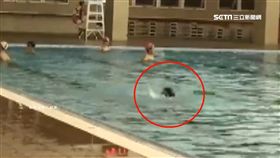 高雄,姪子,溺水,教練,救生員