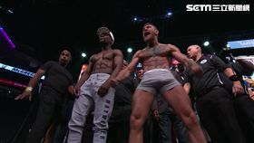 拳擊,梅威瑟,麥葛雷格,拳王,冠軍,腰帶,格鬥,美國,爭霸,勝利