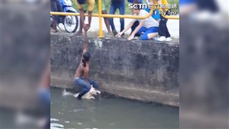 見毛孩溺水　路人雙腿夾「牠」神救援