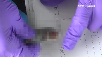 追浮屍身分　警戴「人皮手套」印指紋