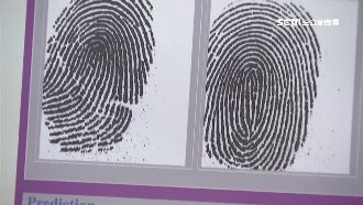 大數據準確分析　藝人瘋「指紋算命」