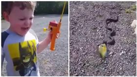 澳洲,男童,釣魚,蛇（圖／翻攝自Instant Regret臉書）