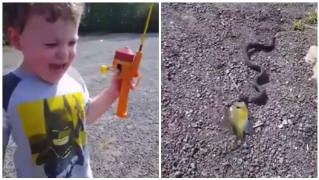 釣魚戰利品遭蛇叼走　萌娃崩潰：還我