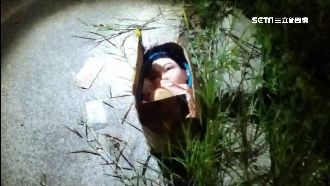 捷運站外驚見「人頭」　路過民眾嚇壞