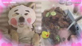 畫面來源：騰訊視頻