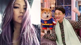 張惠妹,張小燕,／翻攝自張惠妹、張小燕臉書