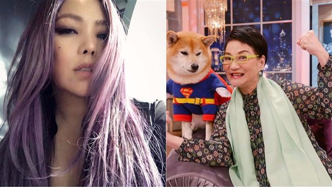 老東家豐華驚傳易主　張惠妹版權驚人