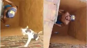 毛孩,貓咪,洞穴,救援,梯子,忍者,蜘蛛　圖／翻攝自YouTube