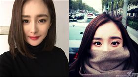 楊冪,整容（合成圖/翻攝自微博）