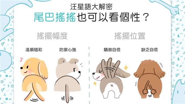 不只表達心情　狗狗搖尾巴能看出個性