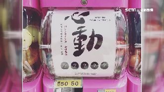 心動扭蛋機爆紅　黃金單身漢任妳轉