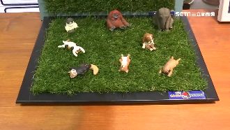 娃娃機PK扭蛋！無人機台創療癒商機