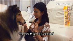 李漪灝,徐輝英,Furbo,毛小孩,Tomofun,亞馬遜（視訊餵食機）