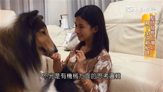 亞馬遜大推AI寵物用品　來自台夫妻