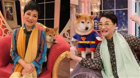 張小燕（圖／翻攝自臉書）