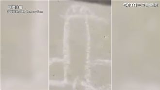 小女孩畫長頸鹿一家人　網：考驗純真