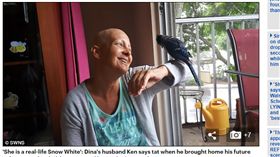 美國,佛羅里達,冠藍鴉,報恩,癌症,抗癌,卵巢癌,化療／《每日郵報》