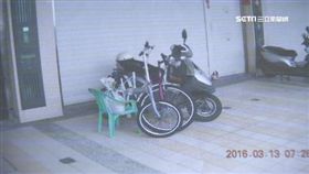 高雄,車頭,罰單