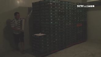 問題蛋藏苗栗　嘉縣衛生局封210箱