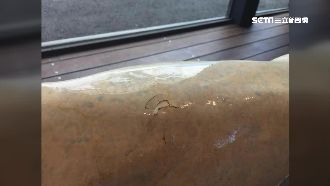 修燈砸中展覽品　維修人員堅不認帳